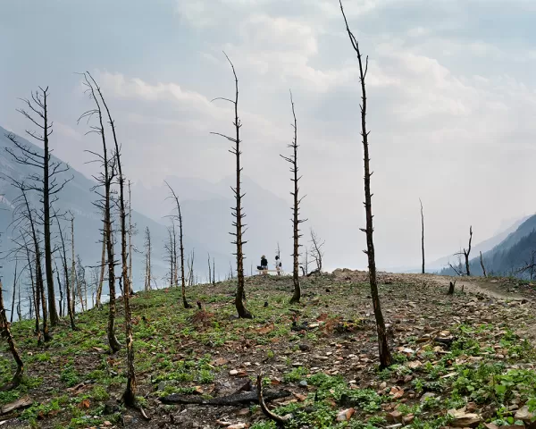 Aftermath of the Kenow Fire, Waterton Lakes National Park