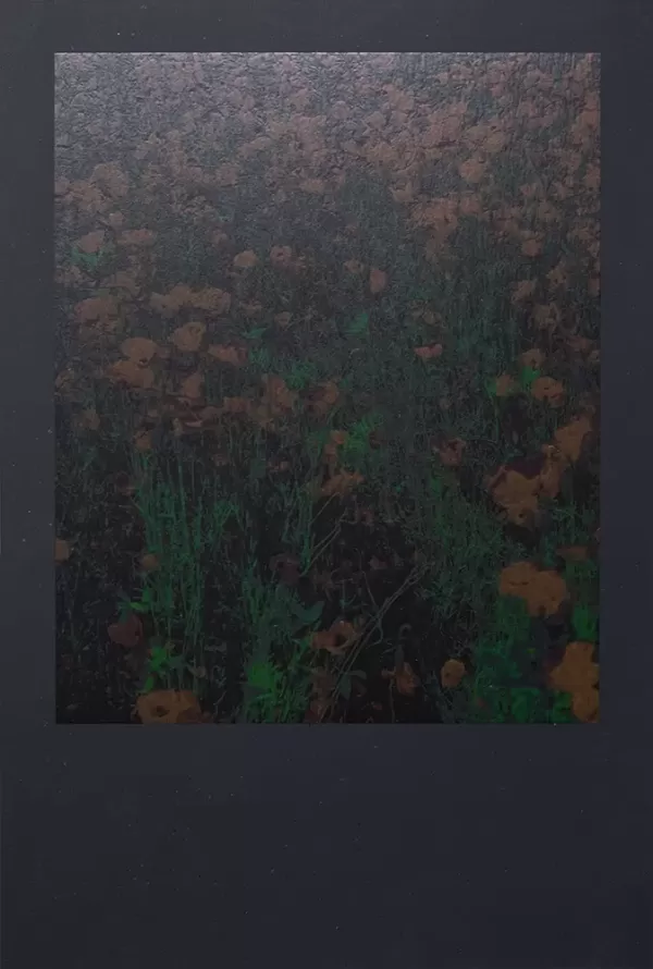 Eve Tagny, Poppies field imprint