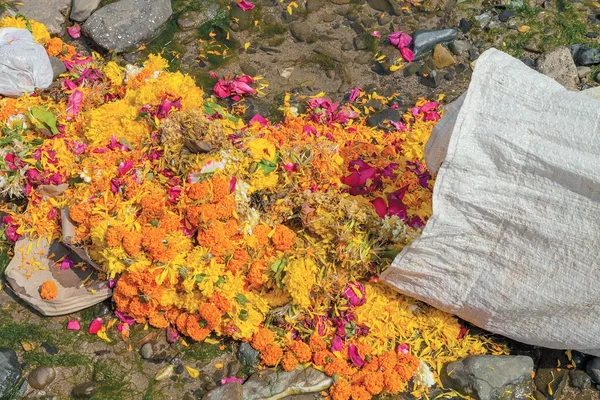 Raymonde April, Fleurs, Carter Road (Mumbai, 2017)