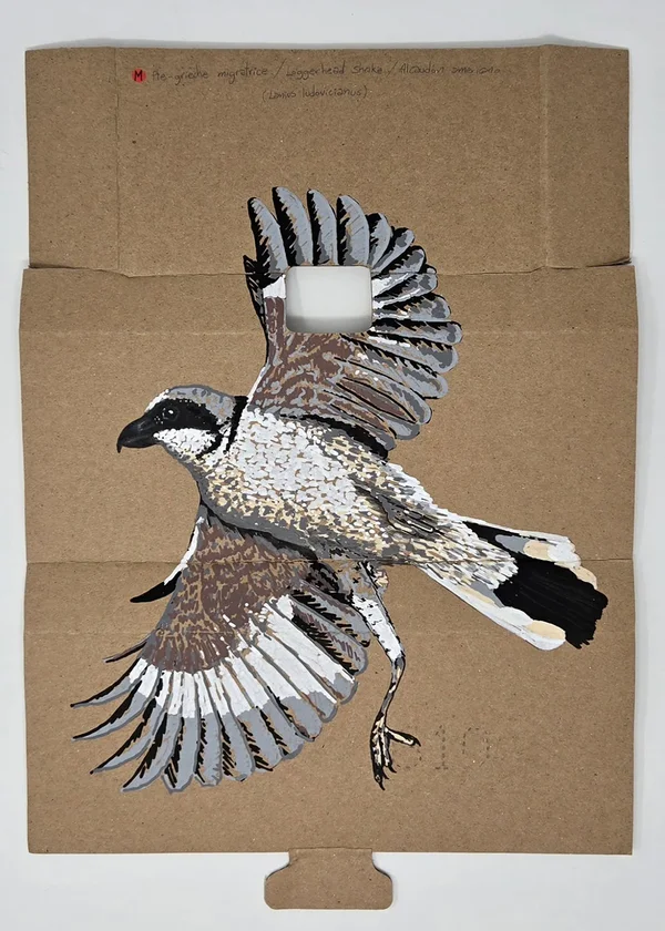 Maria Ezcurra, Les oiseaux menacés du Québec