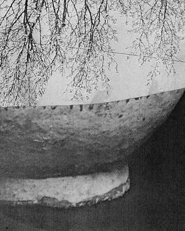 Laïla Mestari, Contenant n° 1